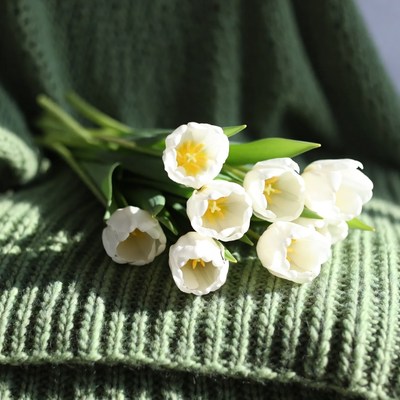 White tulips on green knitted fabric
