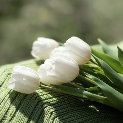 White Tulips on Green Fabric