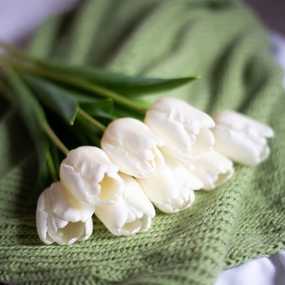 White Tulips on Green Blanket
