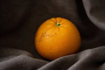 Fresh orange on dark fabric