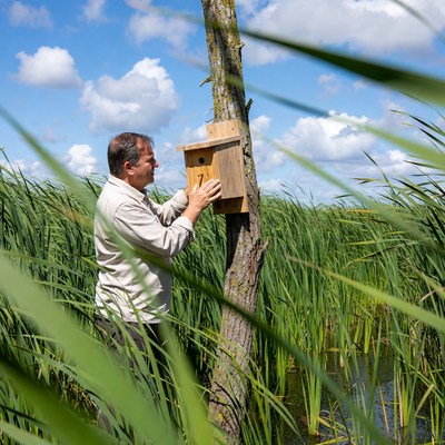 Man installing birdhouse on tree