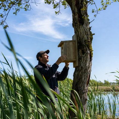 Man installing birdhouse on tree