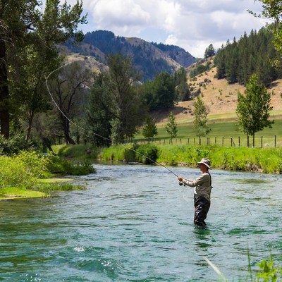 Man fly fishing in river