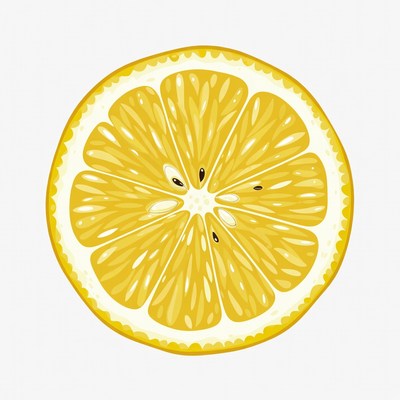 Sliced Lemon Illustration