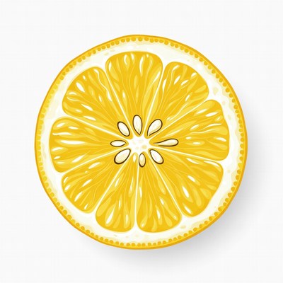 Sliced Lemon Illustration