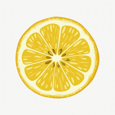 Sliced Lemon Illustration