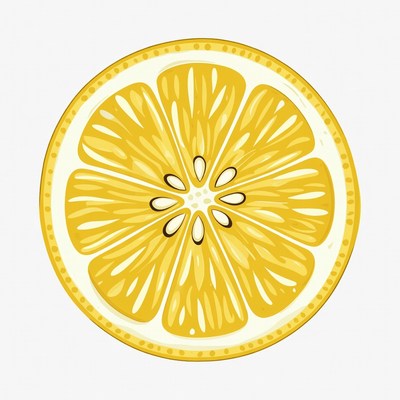 Lemon Slice Illustration