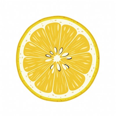 Sliced Lemon Illustration
