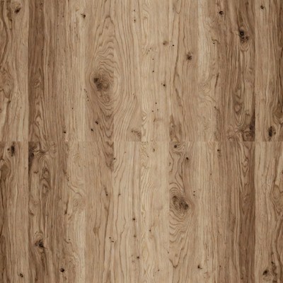 Oak Wood Texture Background