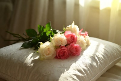 Pink and White Roses on Pillow