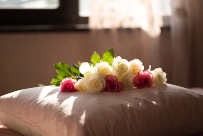 White and pink roses on pillow