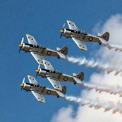 Chipmunk aircraft formation flying