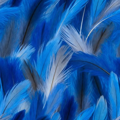 Blue Feathers Seamless Background