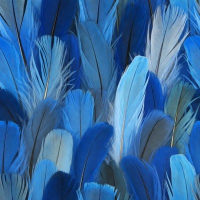 Blue Feathers Seamless Background