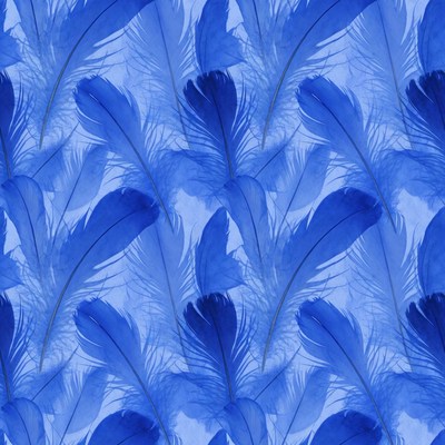 Blue Feather Seamless Pattern