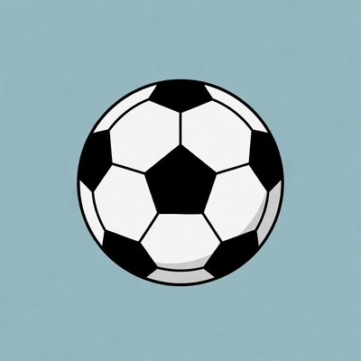 Black and White Soccer Ball