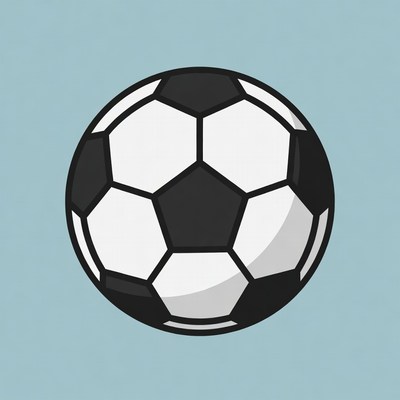 Black and White Soccer Ball