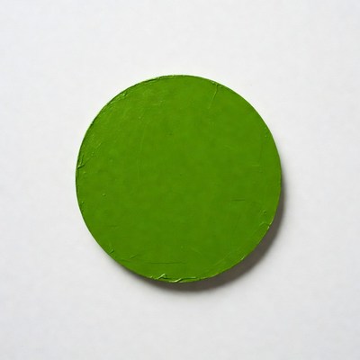 Green circular object on white background