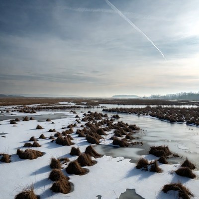 Snowy Marsh with Contrail Sky