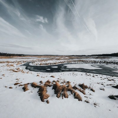Winter Marsh with Icy River
