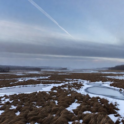Winter Marsh with Airplane Trail
