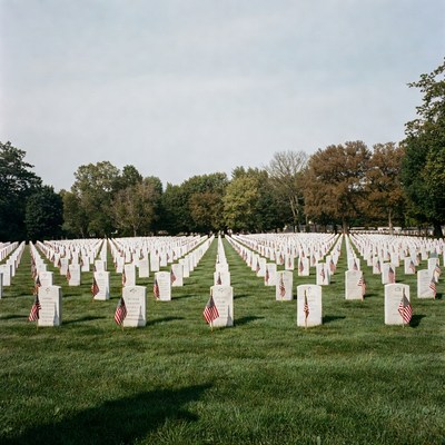 American Flags on Military Graves