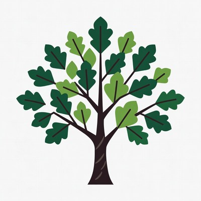 Green Oak Tree Illustration