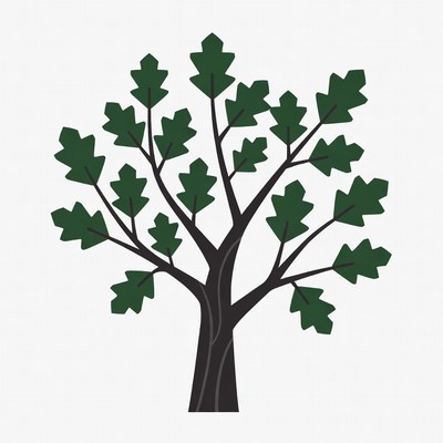 Green Oak Tree Illustration