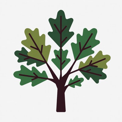Oak Tree Clipart Illustration