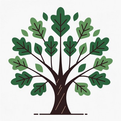 Green Oak Tree Illustration