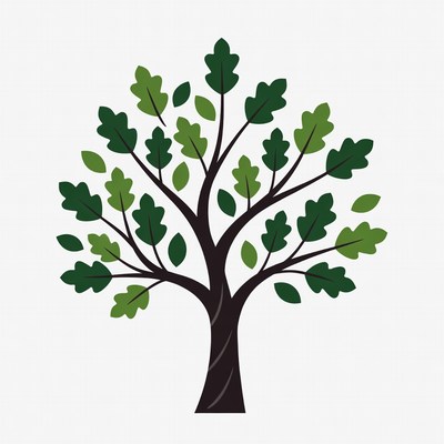 Oak Tree Illustration