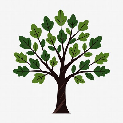 Green Tree Illustration