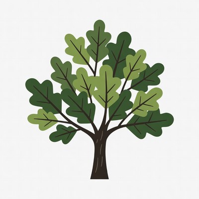 Green Oak Tree Illustration