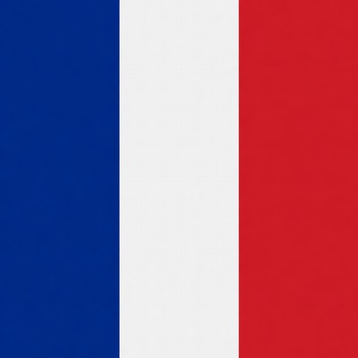 French Flag