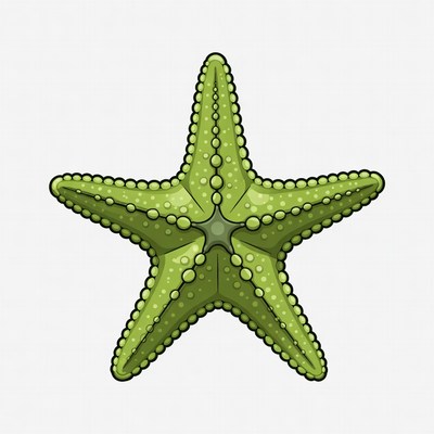 Green Starfish Illustration
