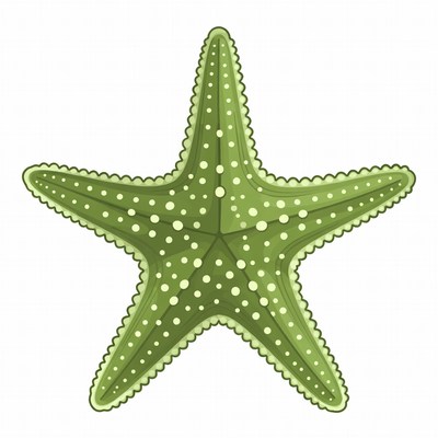 Green Starfish Illustration