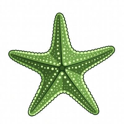 Green Starfish Illustration