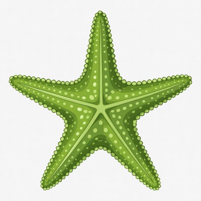 Green Starfish Illustration