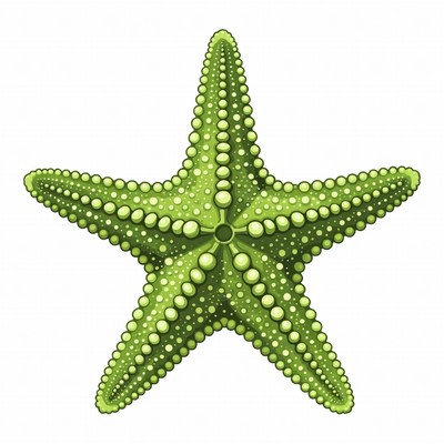 Green Starfish Illustration