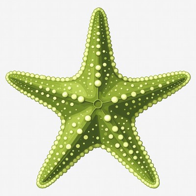 Green Starfish Illustration