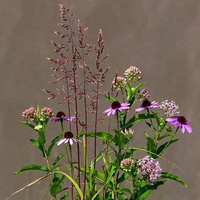 Purple Coneflowers and Grasses Bouquet