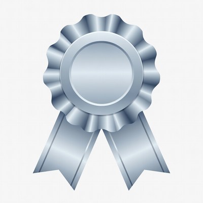 Silver Ribbon Award Badge