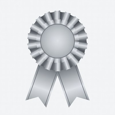 Silver Ribbon Award Badge