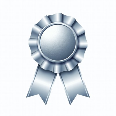 Silver Ribbon Award Badge