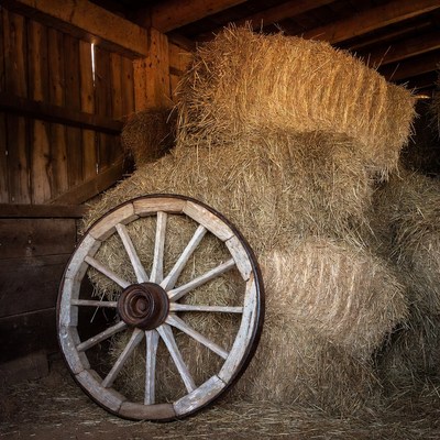 Wooden Wagon Wheel Against Hay Bales