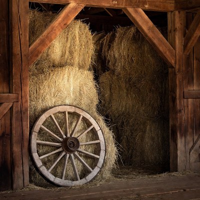 Hay Bales and Wagon Wheel in Barn