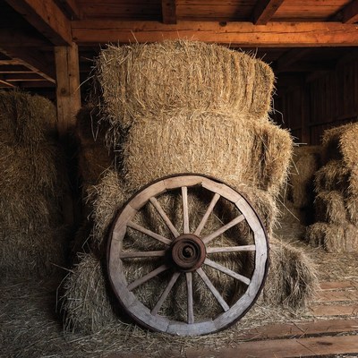 Old wagon wheel against hay bales
