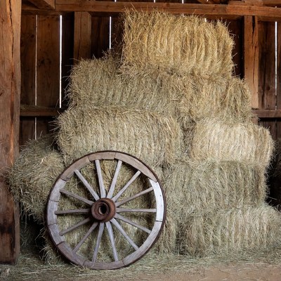 Hay Bales and Wagon Wheel in Barn
