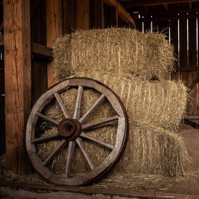 Old wagon wheel against hay bales