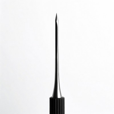 Sharp metal needle on black handle